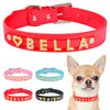 Collar Perro Personalizado Nombre - Modelo Amilia Chihuahuas
