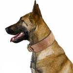 Collar Personalizado de Cuero con el Nombre de tu Perro Raza Grande - NOMBRAK